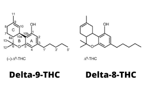 delta 9 thc and delta 8 thc chemical structures